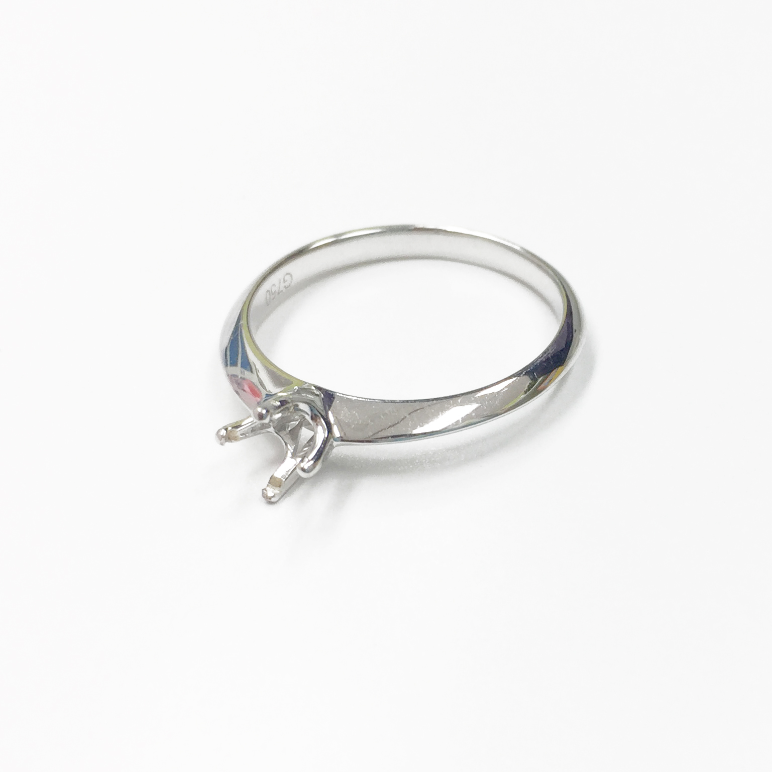 18K WG RING CASING